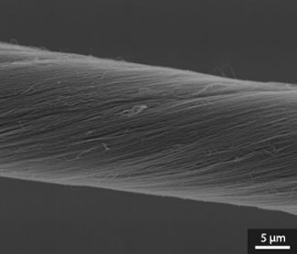 Microscope image of a well-aligned CNT fiber