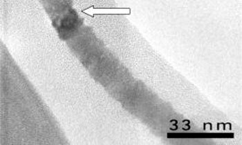 nanowire enclosed in a microtubule