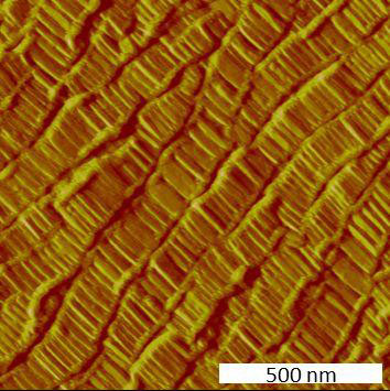 Rasterkraftmikroskopisches Bild einer nanokristallinen Lamelle einer orientierten UHMWPE-Oberfläche