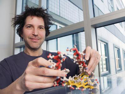 This is Dr. David Baker with a model of a molecule in his biochemistry lab at the University of Washington in Seattle
