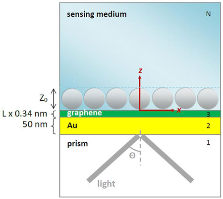 The N-Layer model for surface plasmon resonance (SPR) biosensor