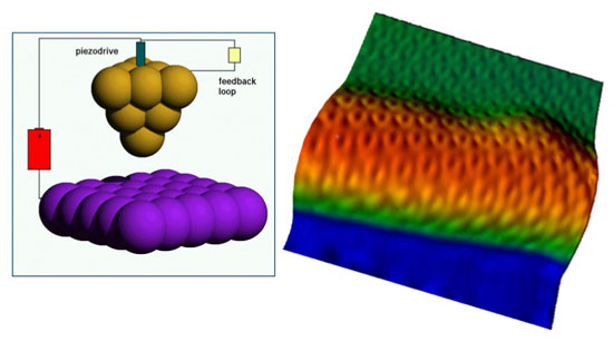 A scanning tunneling microscope determines the topography and orientation of the graphene nanoribbons on the atomic scale