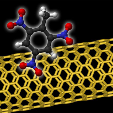 >Explosives sensor uses carbon nanotubes (in yellow) covered in protein fragments to detect even a single molecule of an explosive, such as the TNT molecule shown here