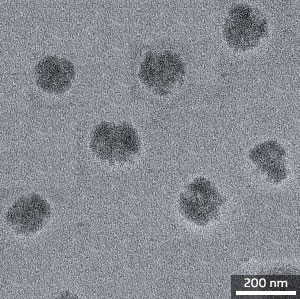 Transmission electron microscopy image of doxorubin-loaded mixed micelles