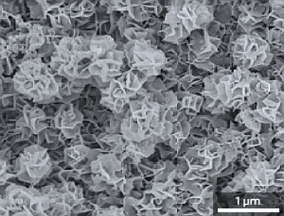 Scanning electron microscopy image of the nanoflake zinc–antimony structure