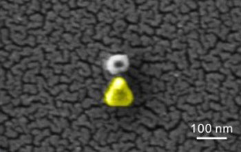Scanning electron microscopy image showing a palladium nanoparticle with a gold antenna to enhance plasmonic sensing