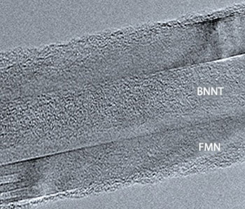 boron nitride nanotubes