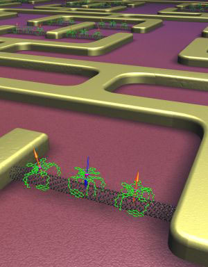 Self-organization of nano-devices: Magnetic molecules (green) arrange on a carbon nanotube (black) to build an electronic component