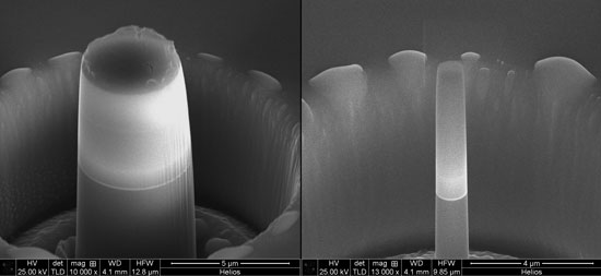 electron microscope image of micropillars