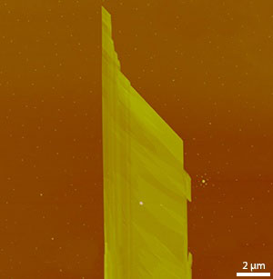 An atomic force microscopy image of a F16CuPc crystal mechanically exfoliated into an extremely thin sheet using adhesive tape