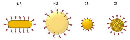A schematic illustration of different types of gold nanoparticles