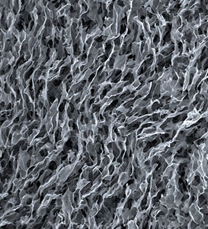 A scanning electron microscopy image of a nematic-phase graphene oxide foam freeze-dried from its liquid-crystalline suspension