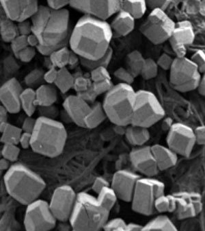 A scanning electron microscope image shows a new material that self-assembles into a polyhedron using the attractive interactions associated with hydrogen bonds