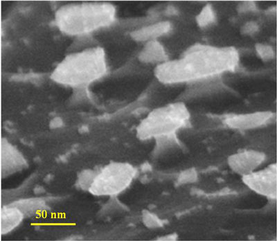 Die Aufnahme mit einem Rasterelektronen-Mikroskop zeigt Quantenpunkte aus Indiumarsenid