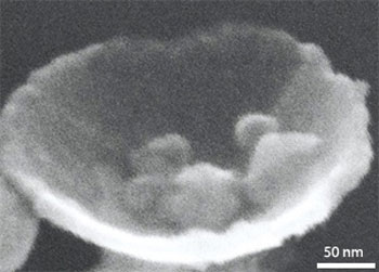 Scanning electron microscopy image of nickel nanobowls