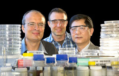 Professors Leone Spiccia, Udo Bach and Yi-Bing Cheng