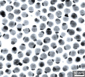 A transmission electron microscopy image of silver sulfide nanocrystals with gold grown on one face