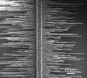 Horizontal nanowire growth