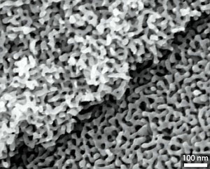 A scanning electron microscopy image of a nanoporous gold material with externally controllable strength and ductility