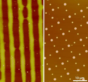 Kelvin-probe microscopy images of geometric patterns formed by electret-based patterning of thin poly(methylmethacrylate) films