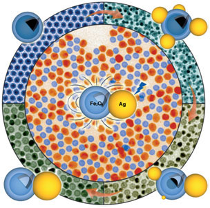 Bifunctional Plasmonic/Magnetic Nanoparticles