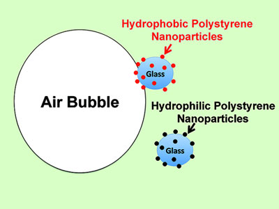 he ability of polystyrene nanoparticles to facilitate the froth flotation of glass beads was correlated to the hydrophobicity of the nanoparticles
