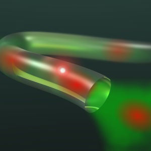 A conception diagram of a tellurite glass optical fiber with embedded diamond nanoparticles as a source of single photons for quantum computing