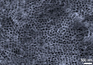 Scanning electron microscopy image of a DSSC wire showing the carbon nanotube network