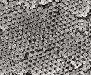 A scanning electron microscopy image of nanoporous gyroid nickel after removal of the polystyrene template