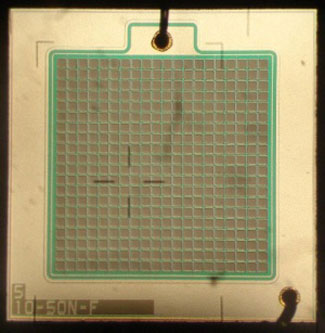 An MPPC detector consisting of an array of avalanche photodiodes