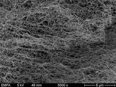 A scanning electron microscope image of chemically modified, nanofibrillized cellulose
