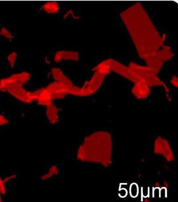 fluorescence microscope image of nanosheets