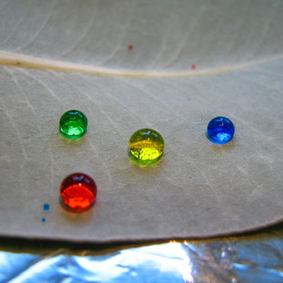 Colored drops of dye on a mottlecah leaf