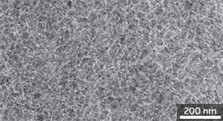 A transmission electron micrograph of a thin film made from a mixture of POD2T-DTBT polymer and PC71BM ester