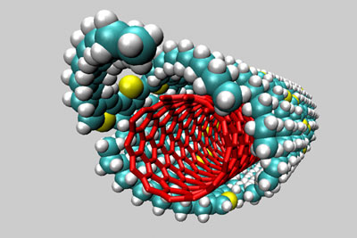 A computer-generated cross section of the polymer-coated carbon nanotube