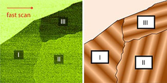 friction force microscopy image (left) showing domains in graphene