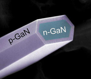 Structure of an n-type GaN nanowire
