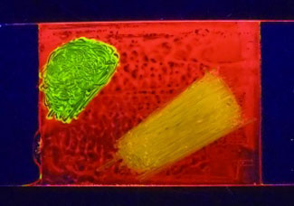 A thin film of a liquid-crystalline material displaying three different colors
