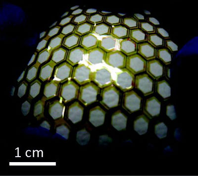 flexible and stretchable thin film transistor array covering a baseball