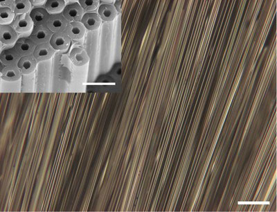 A bed of amorphous hydrogenated silicon wires that were prepared in the pores of optical fibers