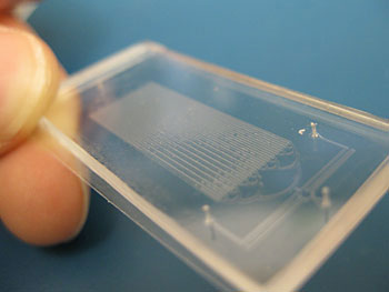 microfluidic chip