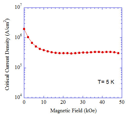 Critical current density of the developed fullerene nanowhisker superconductor