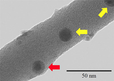 Scanning transmission electron microscope image of a polystyrene nanowire containing iron oxide nanoparticles