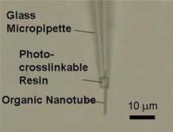 organic nanotube nanopipette
