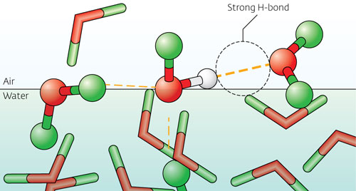 molecular dynamic simulation reveals that water molecules align at air–water interfaces as coordinated pairs linked by hydrogen bonds