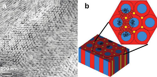 cadmium sulfide nanorods forming arrays that are aligned and oriented parallel to the cylindrical microdomains of block copolymers
