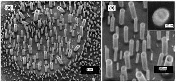 Snapshot of initial polymer fiber growth on fingerprint