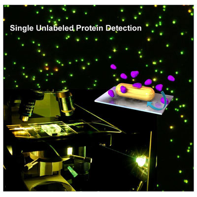 im Mikroskop mit Hilfe eines Gold-Nanopartikels einzelne Protein-Moleküle beobachten