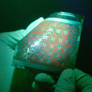 thermostable organic transistor manufactured on a thin plastic film