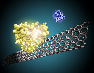 carbon nanotube sensor